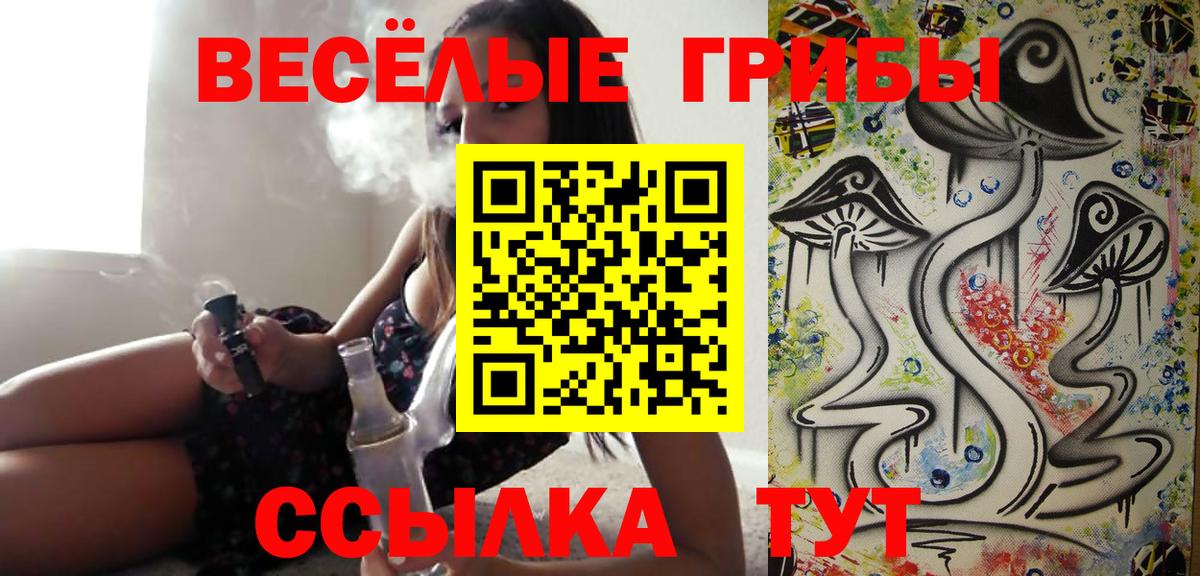 Галлюциногенные грибы прущие грибы  Вход с VPN  Камышин 