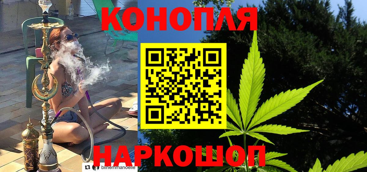 Шишки марихуана ГИДРОПОН  МАРИХУАНА план  Вход с VPN  Камышин  Канабис MAZAR 